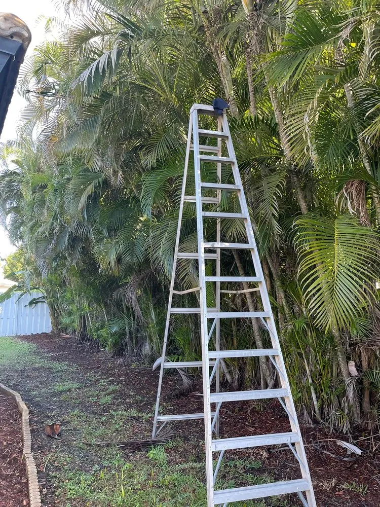 Affordable lawn care service for year-round maintenance in Greenacres, FL by M&N Landscaping Services