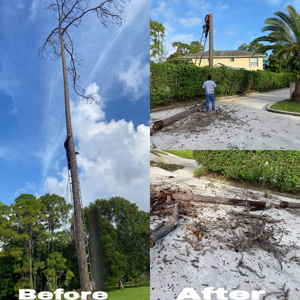 Local lawn mowing service experts serving Greenacres, FL - M&N Landscaping Services