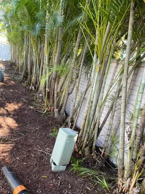 M&N Landscaping Services Logo