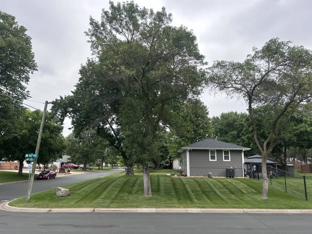 Affordable yard maintenance in Coon Rapids, MN - MN Lawn Pros