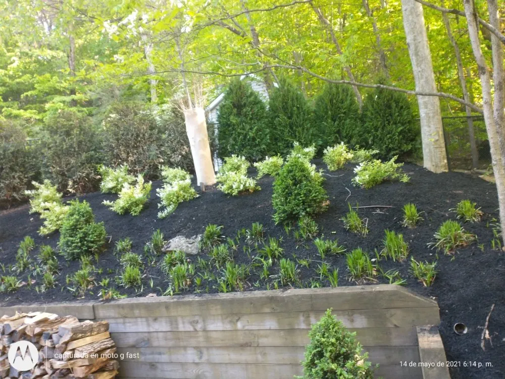 Reliable landscaping services in North Plainfield, NJ - M&N lawn service