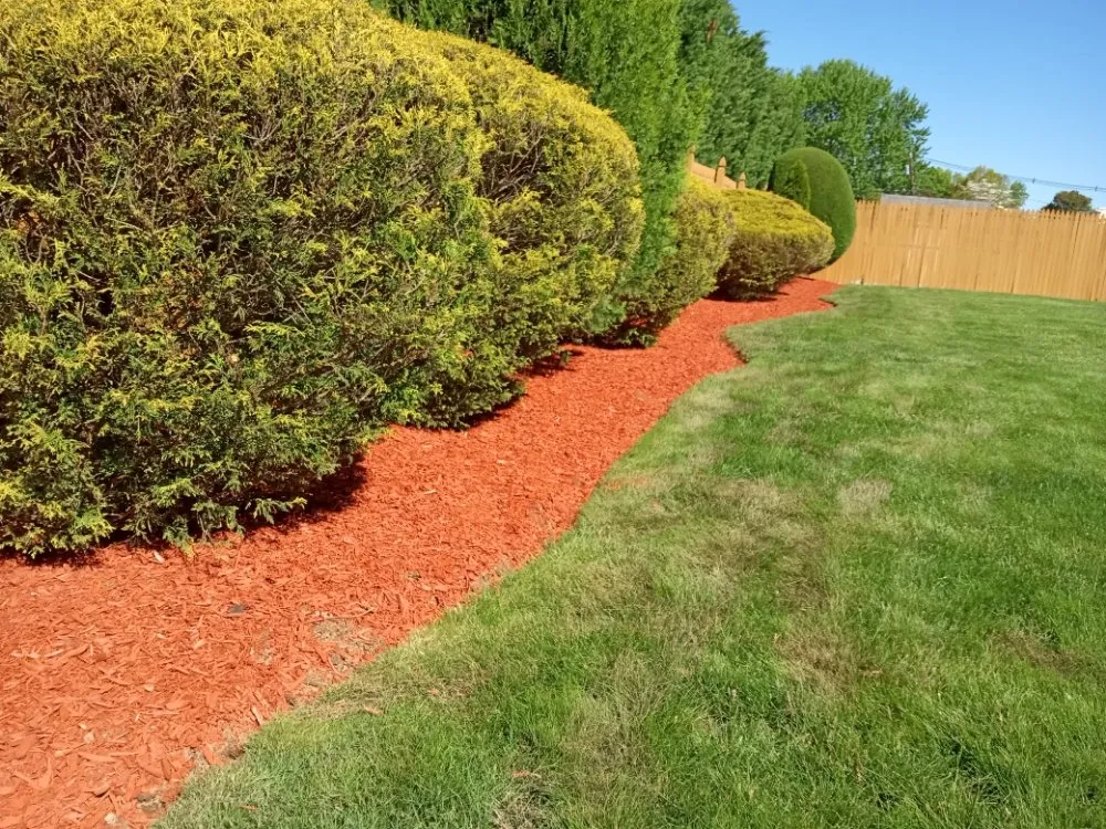 Top-rated lawn care service experts serving North Plainfield, NJ - M&N lawn service