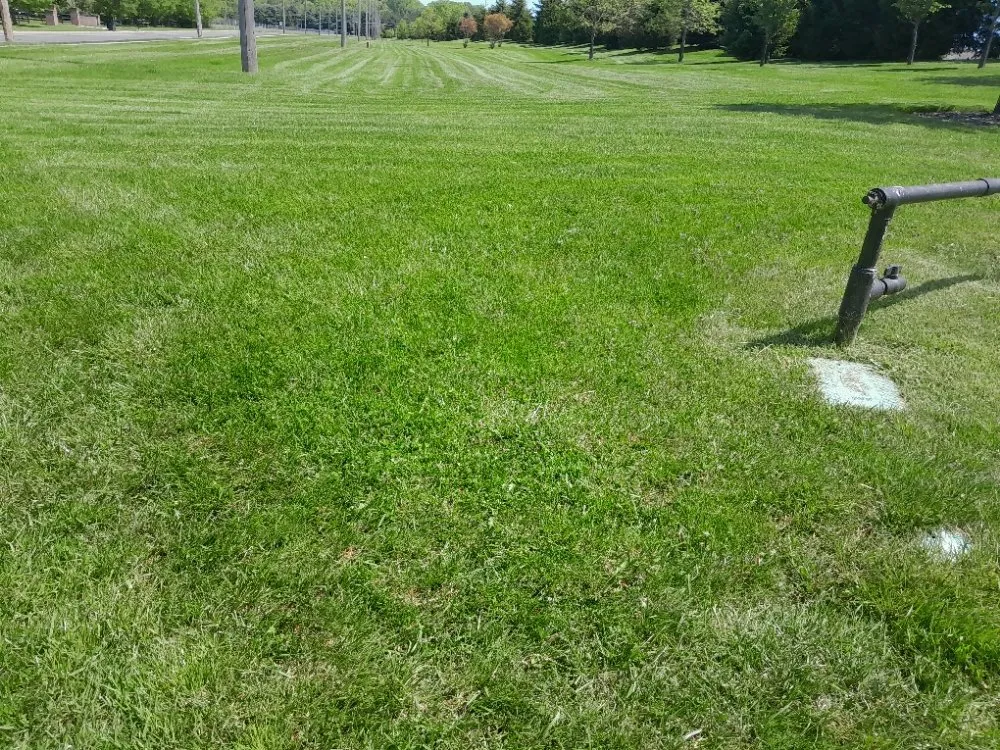 Trusted residential landscaping experts serving North Plainfield, NJ - M&N lawn service