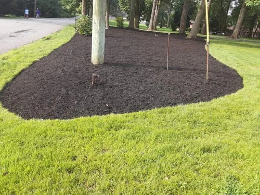 Trusted outdoor landscaping for homes across North Plainfield, NJ - M&N lawn service