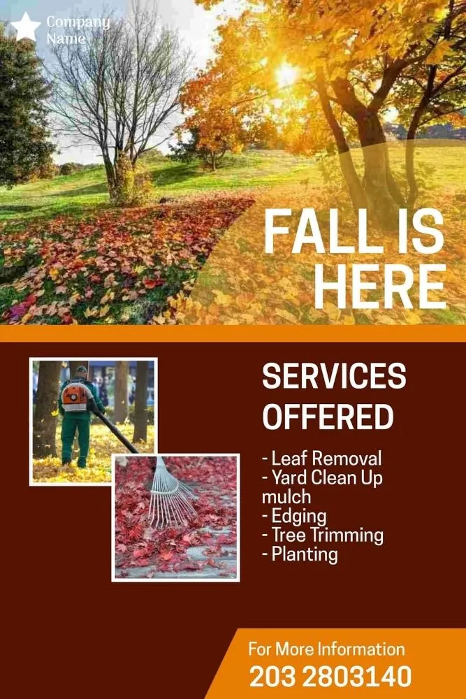 Reliable yard cleanup service for year-round maintenance across North Plainfield, NJ - M&N lawn service