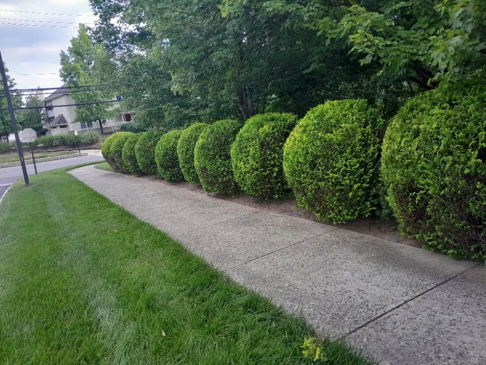 Reliable landscaping services in North Plainfield, NJ - M&N lawn service