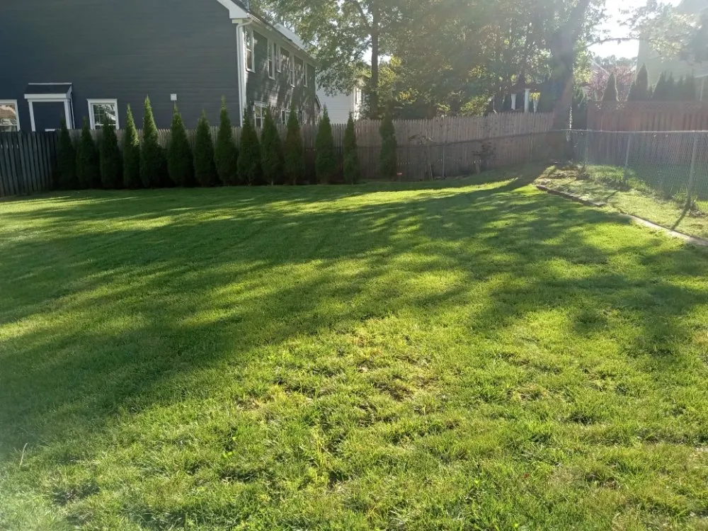 Local lawn care service in North Plainfield, NJ - M&N lawn service