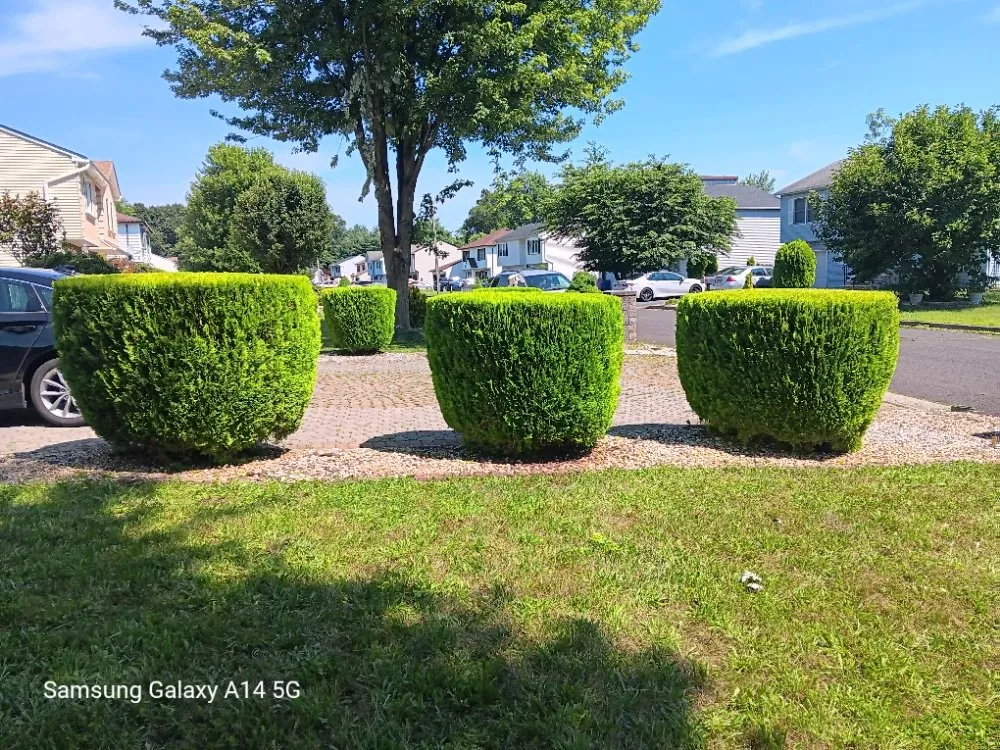 Professional outdoor landscaping for homes across North Plainfield, NJ - M&N lawn service