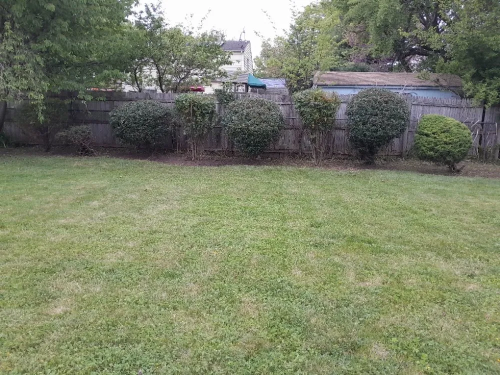 Custom landscape installation in North Plainfield, NJ - M&N lawn service