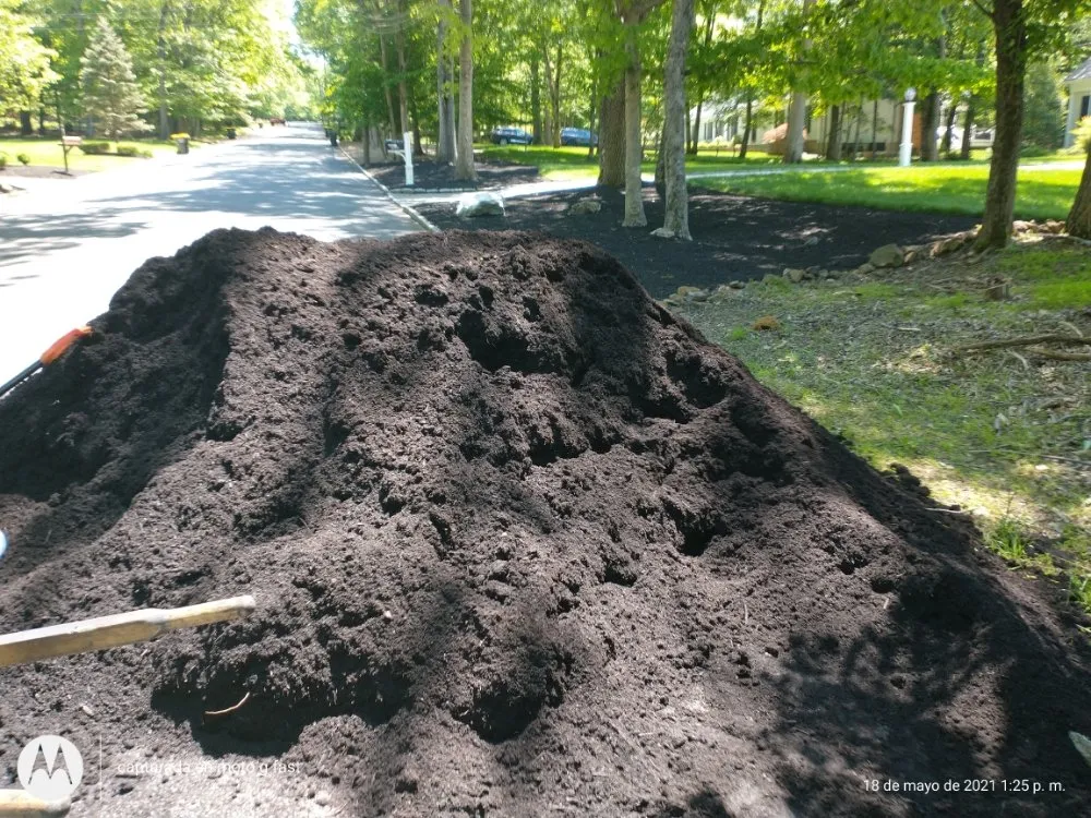 Reliable lawn care service experts serving North Plainfield, NJ - M&N lawn service