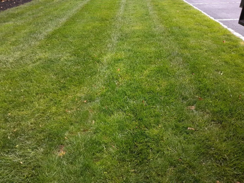 Trusted landscape installation in North Plainfield, NJ by M&N lawn service