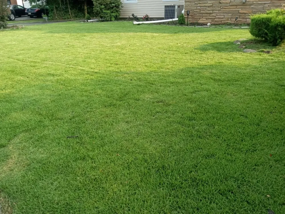 Top-rated landscape installation experts serving North Plainfield, NJ - M&N lawn service