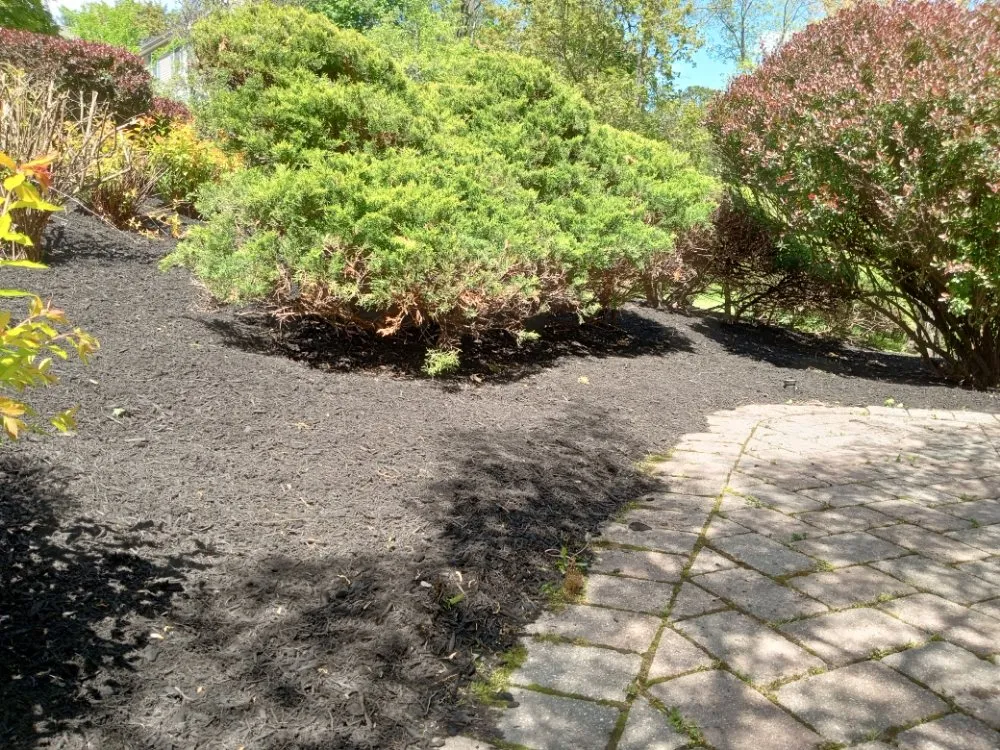 Professional lawn mowing service for residential properties in North Plainfield, NJ by M&N lawn service