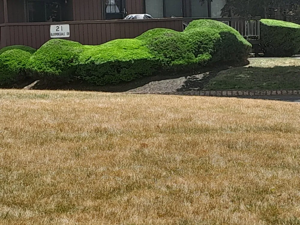 Expert garden landscaping experts serving North Plainfield, NJ - M&N lawn service