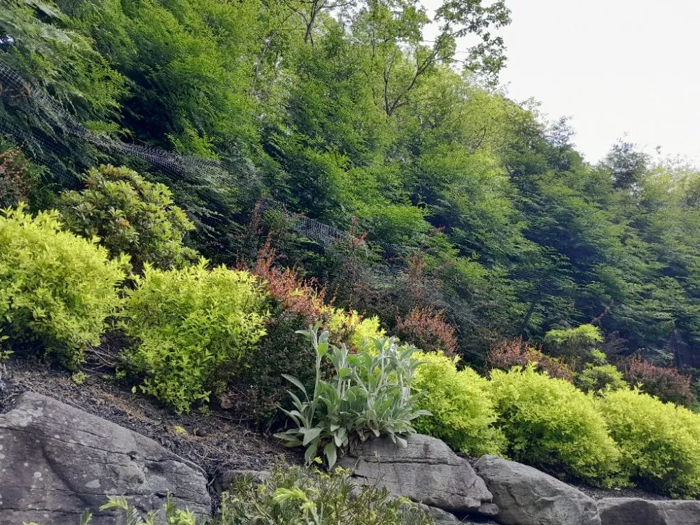 Affordable residential landscaping for beautiful yards in North Plainfield, NJ by M&N lawn service