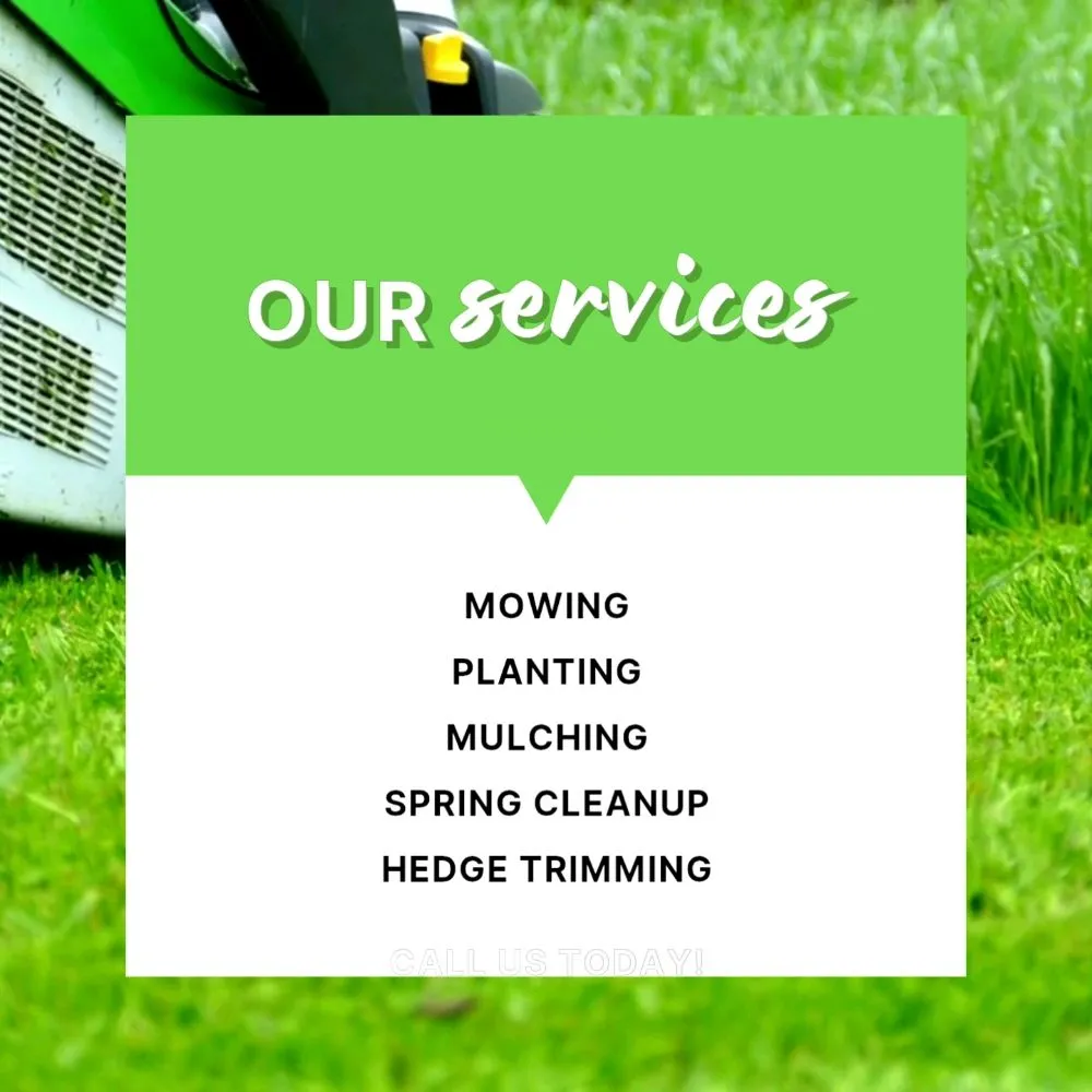 Local yard cleanup service in North Plainfield, NJ by M&N lawn service