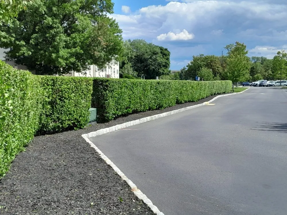 Professional residential landscaping near you in North Plainfield, NJ by M&N lawn service