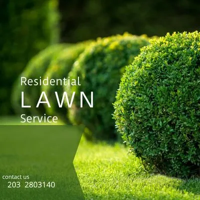 M&N lawn service