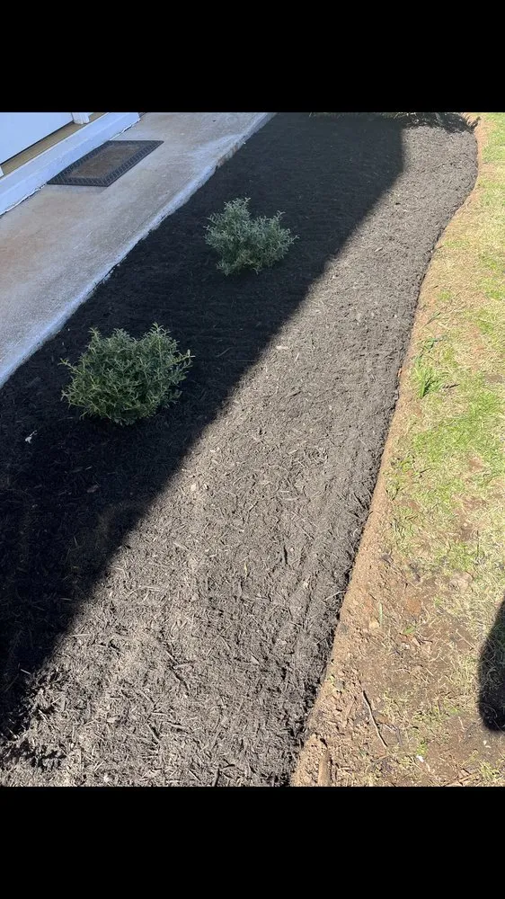 Trusted residential landscaping for outdoor upgrades in Evington, VA by M&N Lawncare