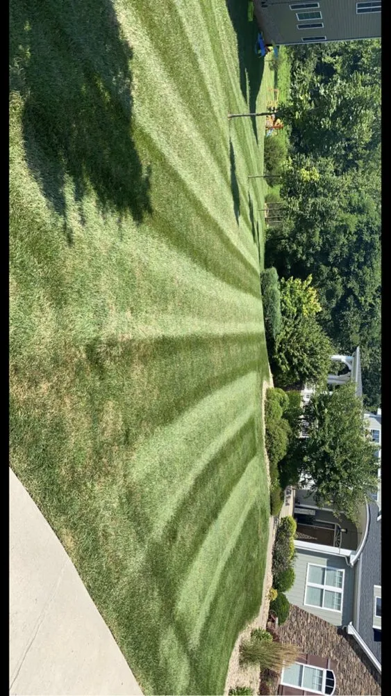 Reliable lawn care service in Evington, VA by M&N Lawncare