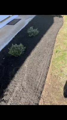 M&N Lawncare Logo