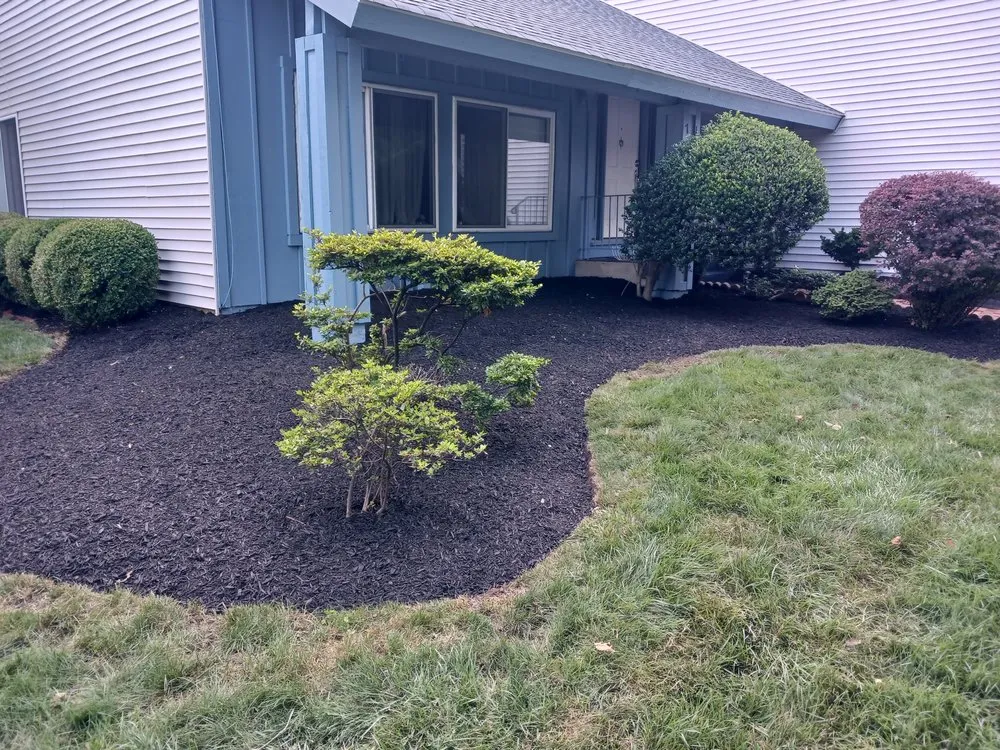 Top-rated garden landscaping for year-round maintenance in Maple Shade, NJ by M&N Precision Landscaping