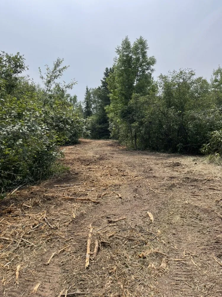 Custom landscape design in Two Harbors, MN - Mn Project Solutions