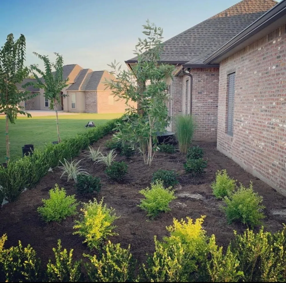 Affordable yard cleanup service in Denham Springs, LA by M&N Services