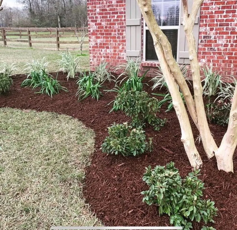 Expert lawn care service for beautiful yards in Denham Springs, LA by M&N Services