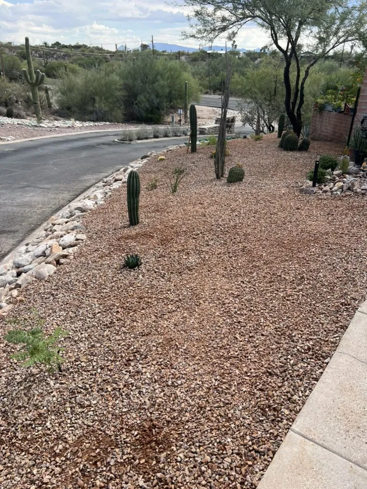 Affordable landscape design for outdoor upgrades across Tucson, AZ - MNG Landscaping