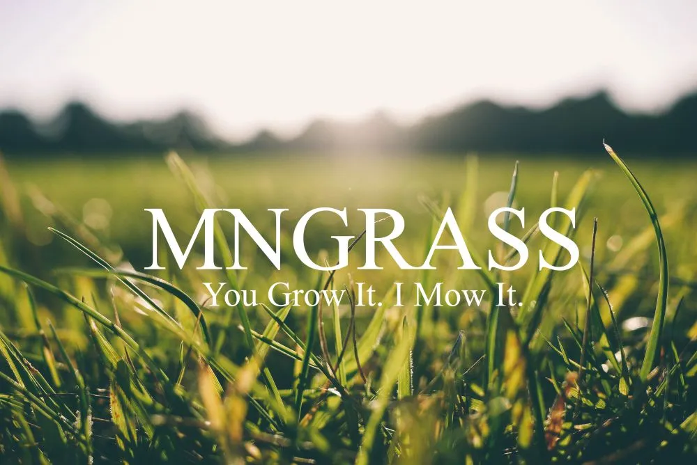 Local landscape design in Rochester, MN - MNGrass