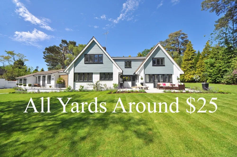 Affordable landscaping services experts serving Rochester, MN - MNGrass