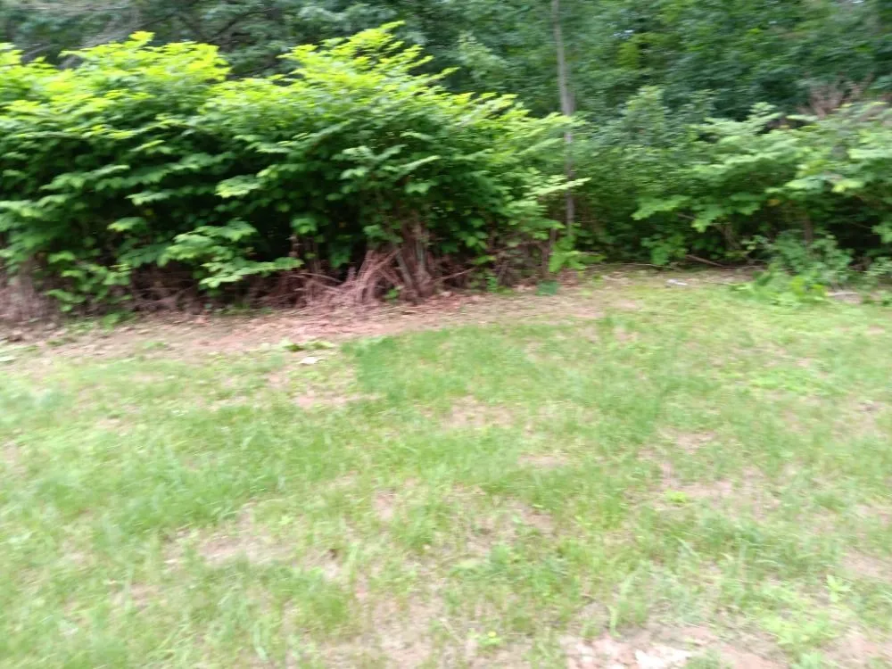 Custom residential landscaping for beautiful yards in Rock City Falls, NY by Mnh Lawn Care Services