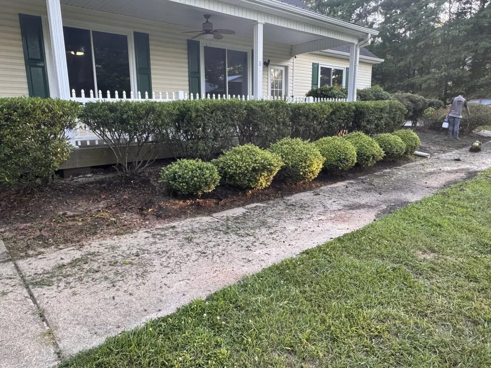 Professional lawn care service in Brooks, GA - MNK In And Out Solutions