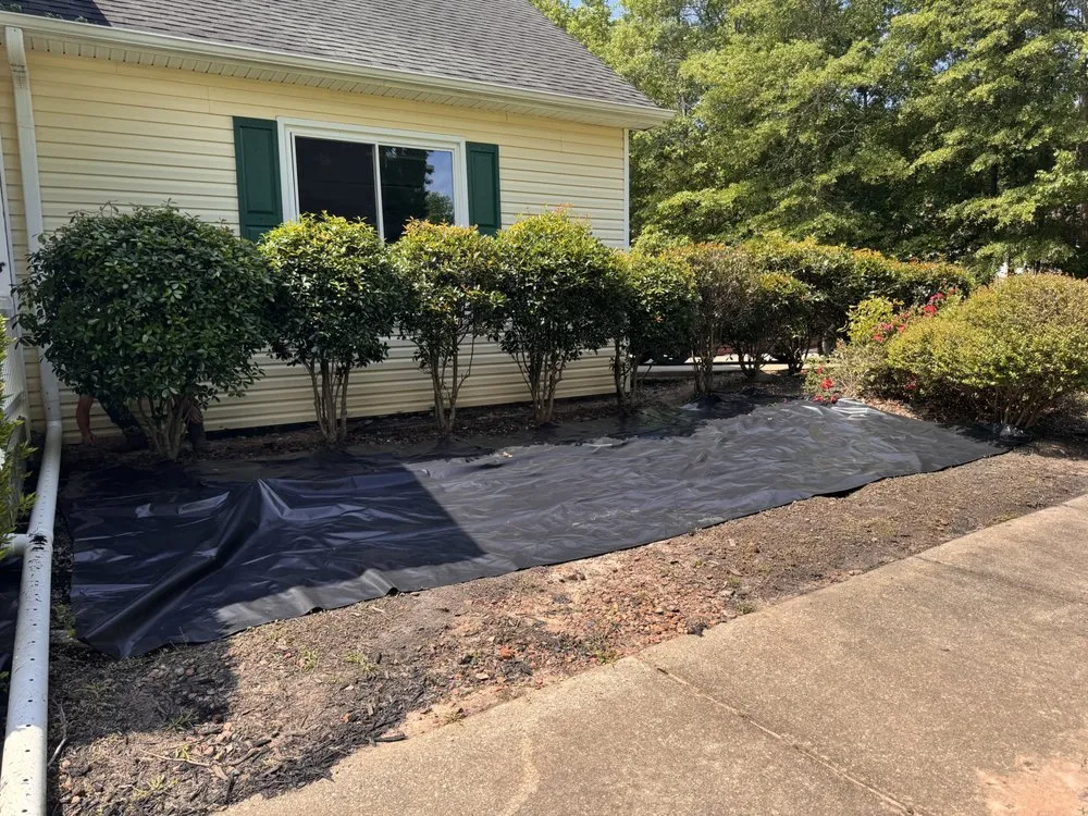 Local landscaping services in Brooks, GA by MNK In And Out Solutions