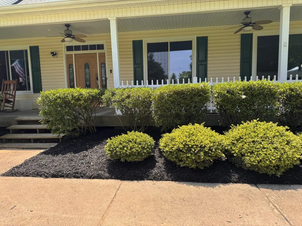 Affordable yard cleanup service experts serving Brooks, GA - MNK In And Out Solutions