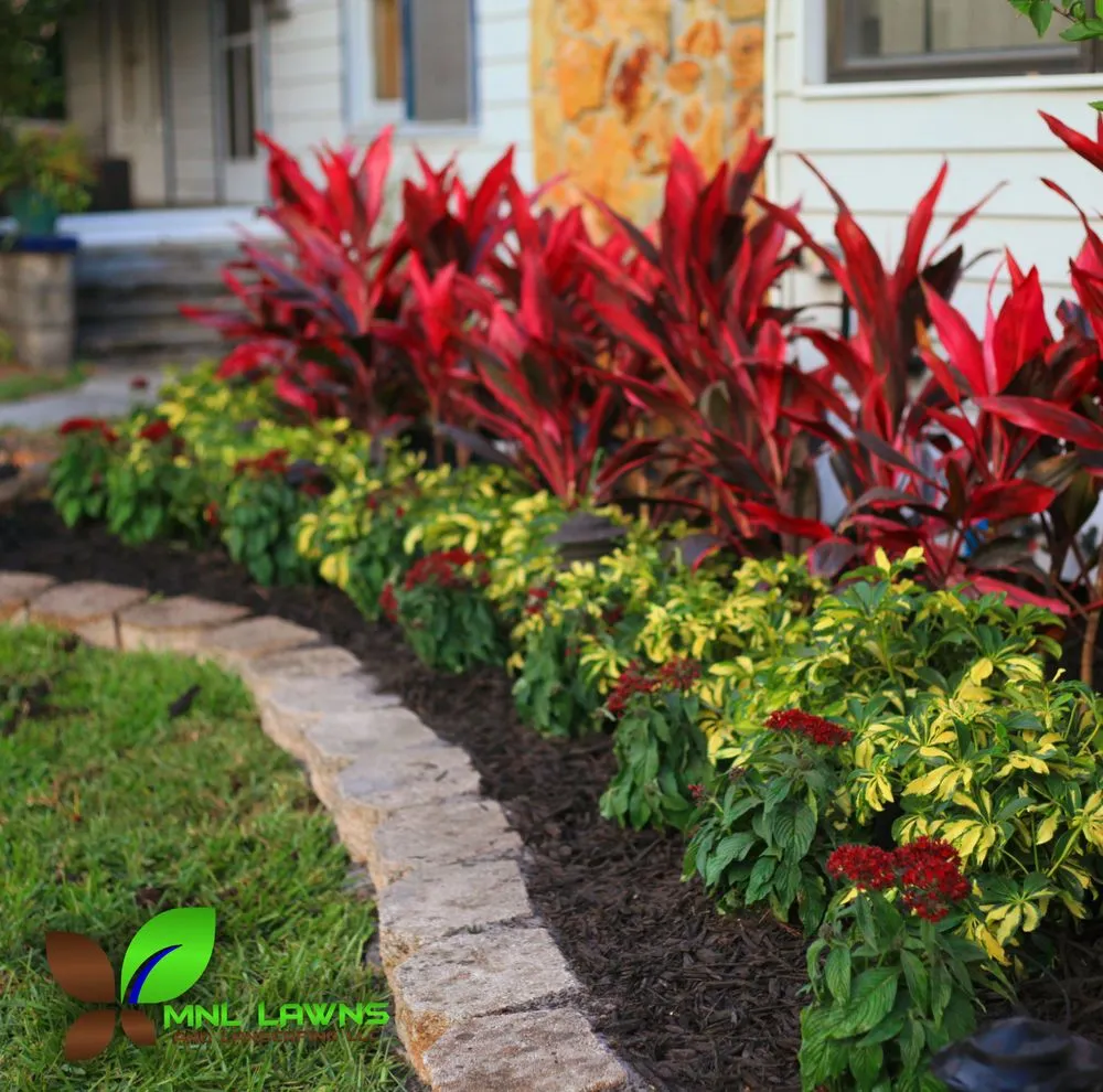 Top-rated yard cleanup service for residential properties in Saint Petersburg, FL by MNL Lawns And Landscaping