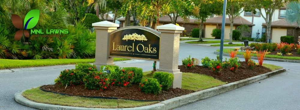 Top-rated lawn care service near you across Saint Petersburg, FL - MNL Lawns And Landscaping