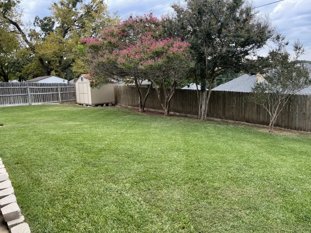 Trusted lawn care service for outdoor upgrades across Denison, TX - MNM Lawn Care