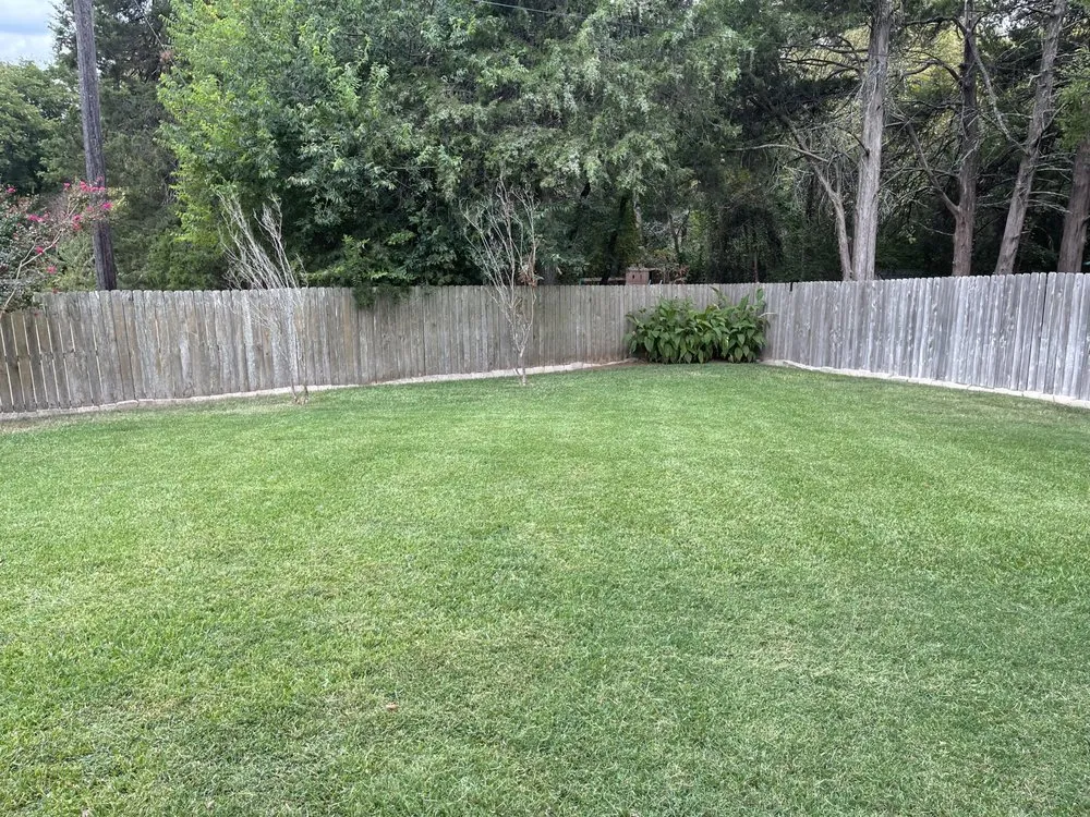 Expert landscaping services in Denison, TX - MNM Lawn Care