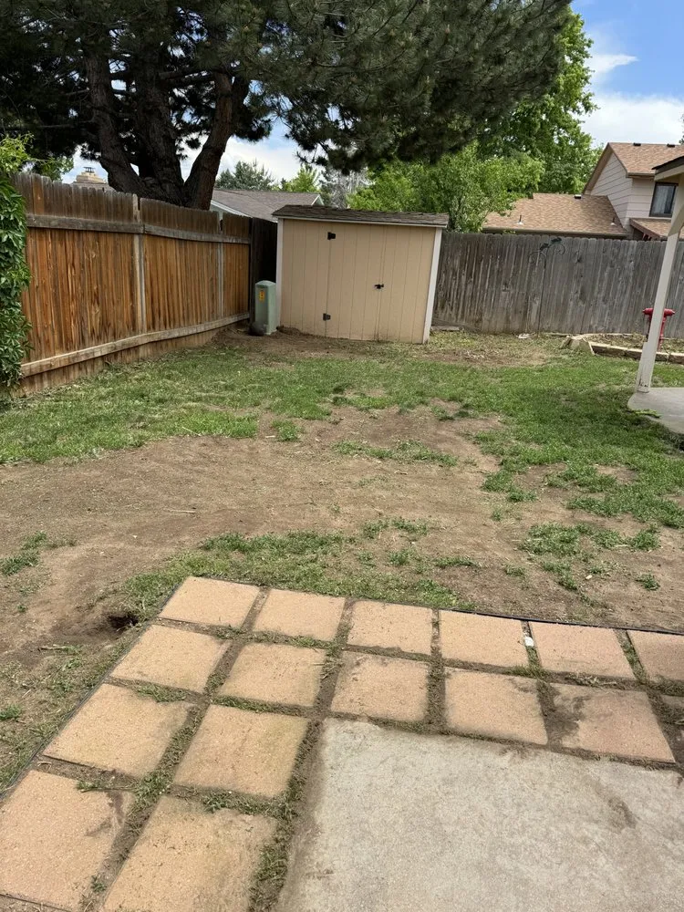 Affordable lawn mowing service for residential properties across Greeley, CO - MNM Lawn Care