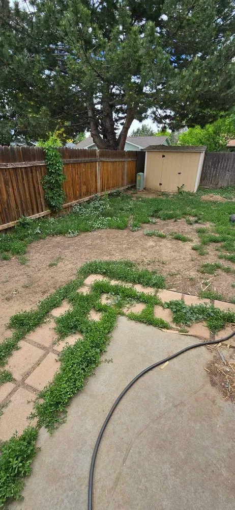 Professional garden landscaping for outdoor upgrades in Greeley, CO by MNM Lawn Care