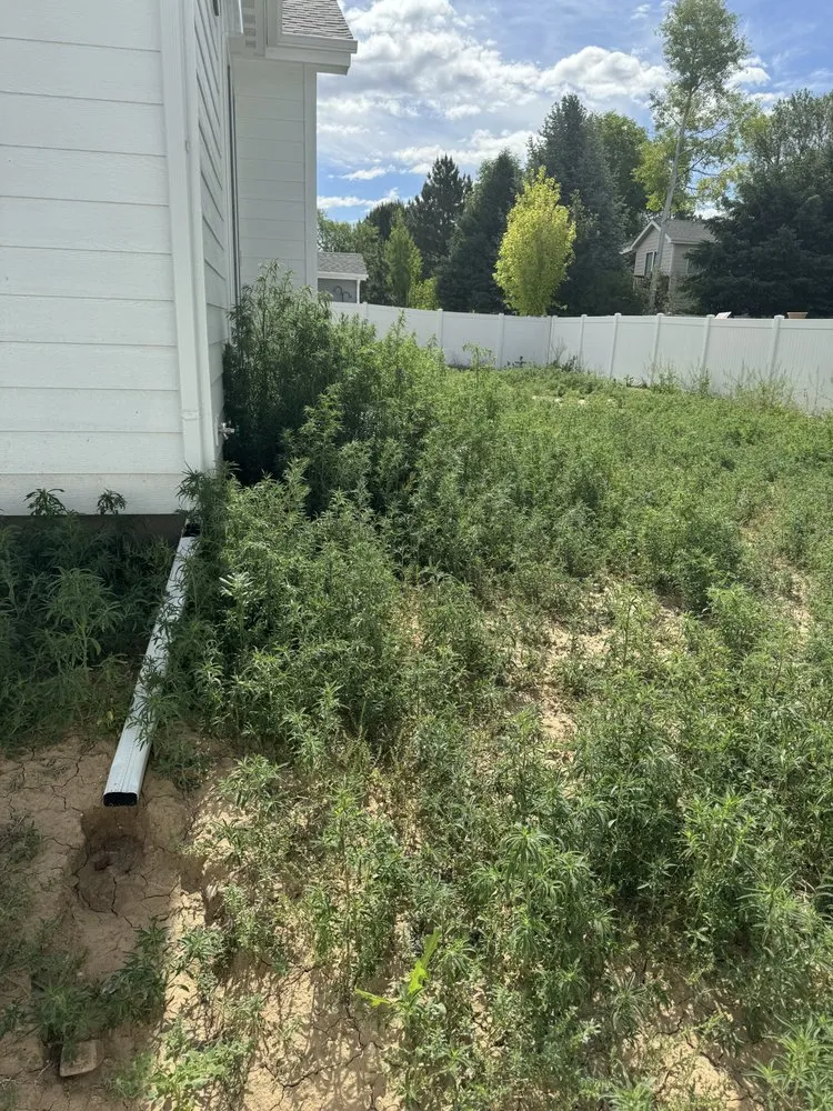 Local residential landscaping in Greeley, CO - MNM Lawn Care