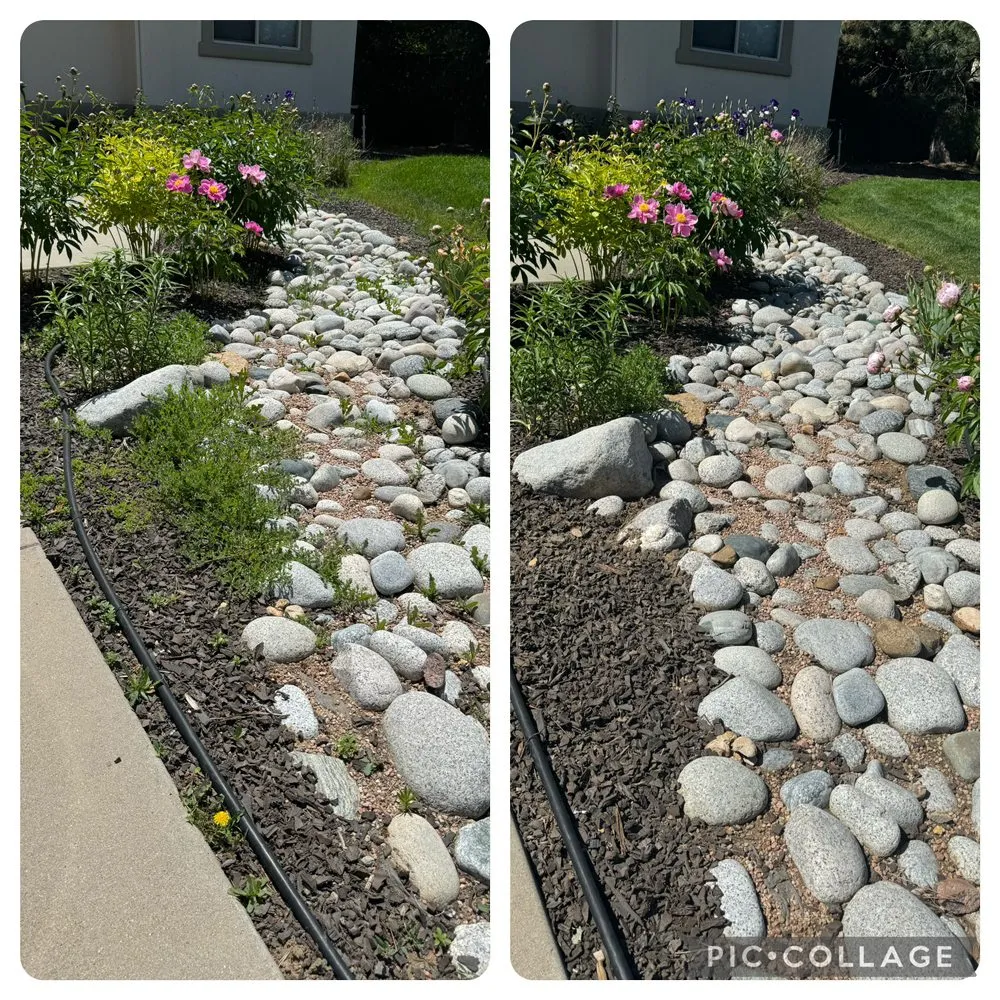 Affordable yard cleanup service experts serving Greeley, CO - MNM Lawn Care