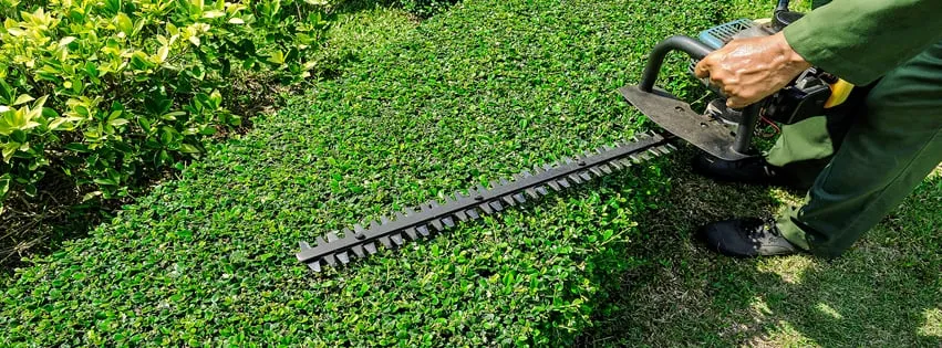 Professional residential landscaping experts serving Westville, IL - mNm Lawncare & Landscaping