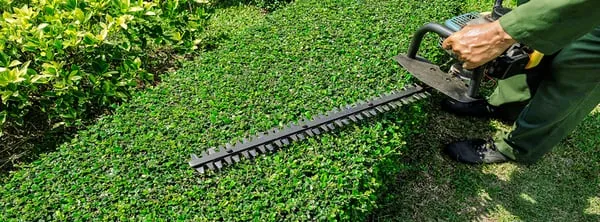 mNm Lawncare & Landscaping