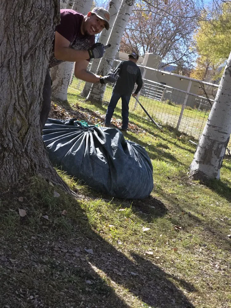 Reliable lawn mowing service experts serving Bayfield, CO - MNM'S Handyhelpers