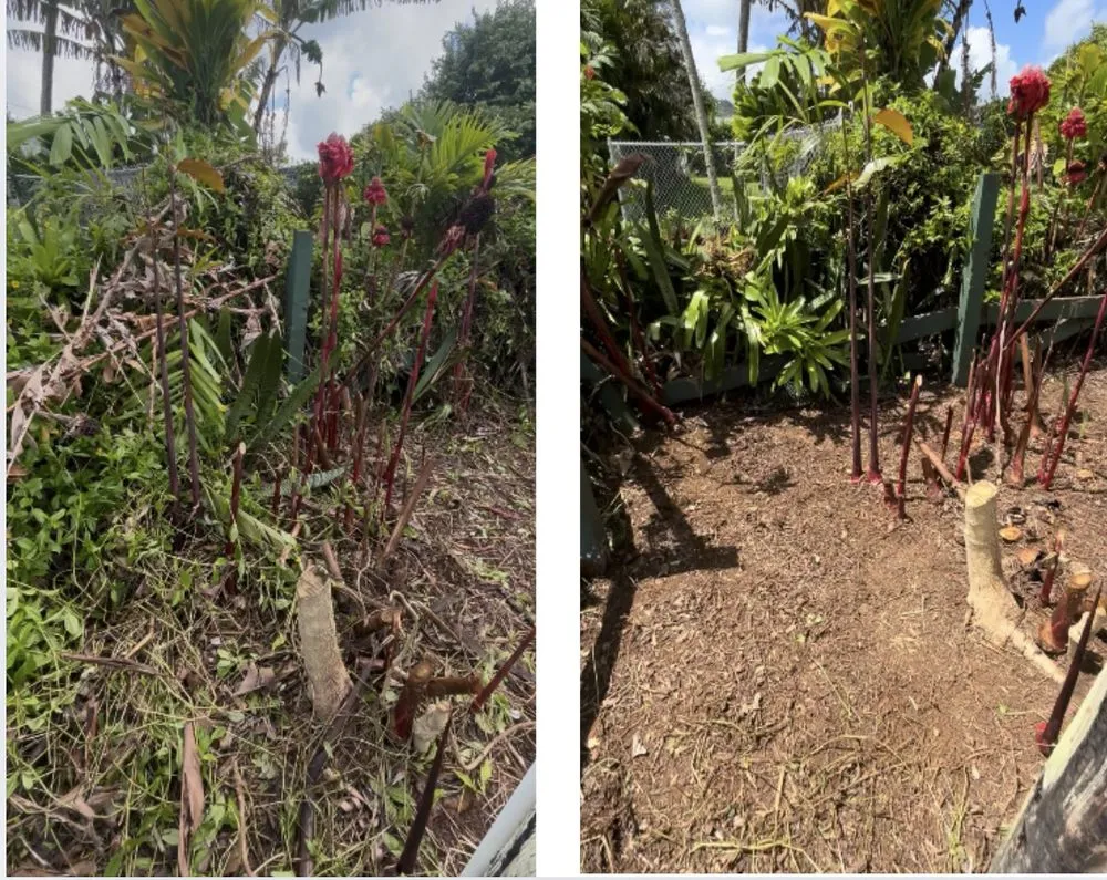 Custom landscaping services near you in Kaumakani, HI by MNPS Landscaping & Handyman