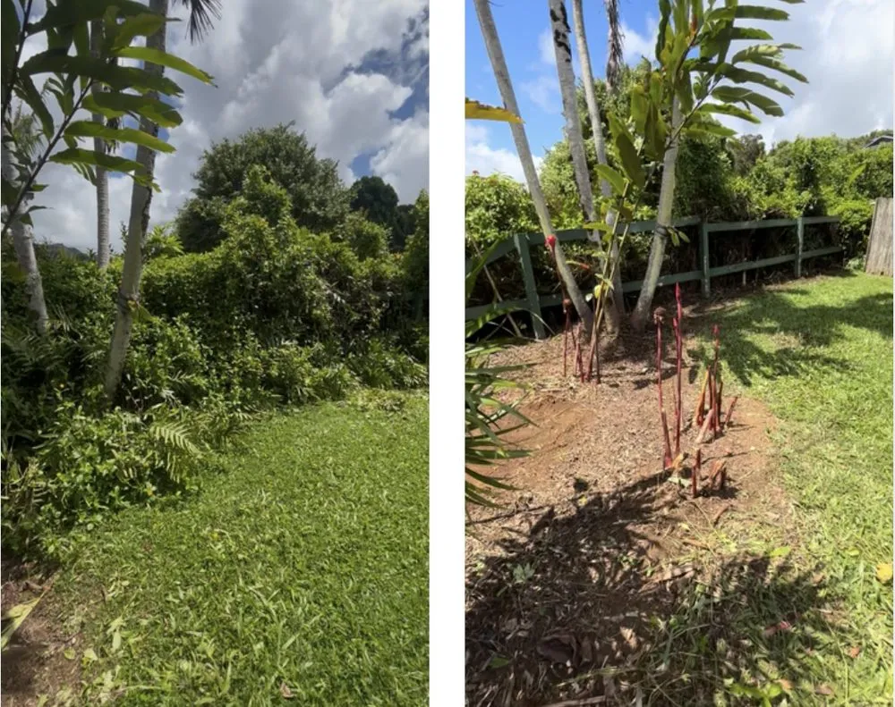 Expert yard maintenance with custom design in Kaumakani, HI by MNPS Landscaping & Handyman