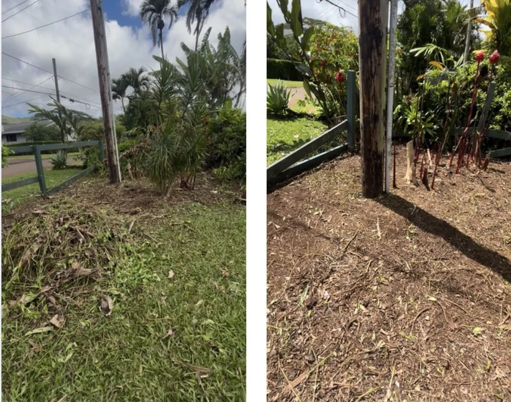 Reliable residential landscaping for homes across Kaumakani, HI - MNPS Landscaping & Handyman